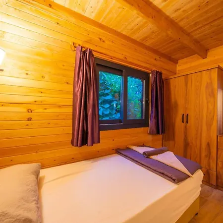 Apartmán Cedar